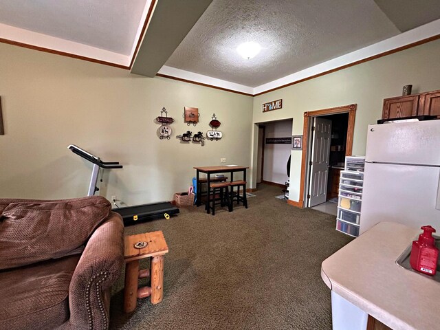 380 Church St, Saint Ignace, MI 49781 - kitchen with freestanding refrigerator, a textured ceiling, and dark colored carpet