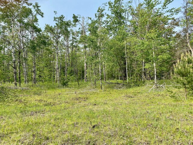LOT1827 Sandpiper Trl, Gaylord, MI 49735 - photo 4