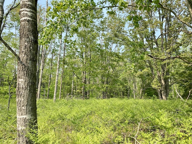 LOT1827 Sandpiper Trl, Gaylord, MI 49735 - photo 3