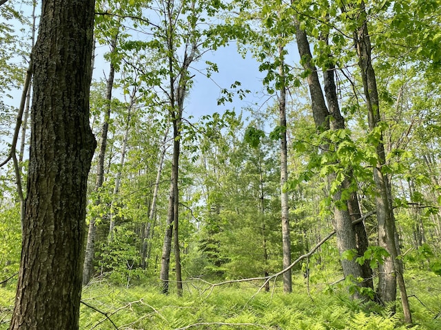 LOT1827 Sandpiper Trl, Gaylord, MI 49735 - photo 1