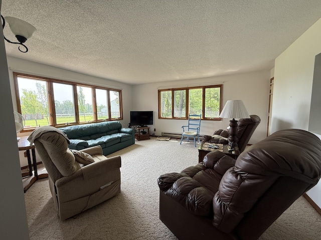 5913 M-33, Cheboygan, MI 49721 - living area with carpet flooring, a textured ceiling, and healthy amount of natural light