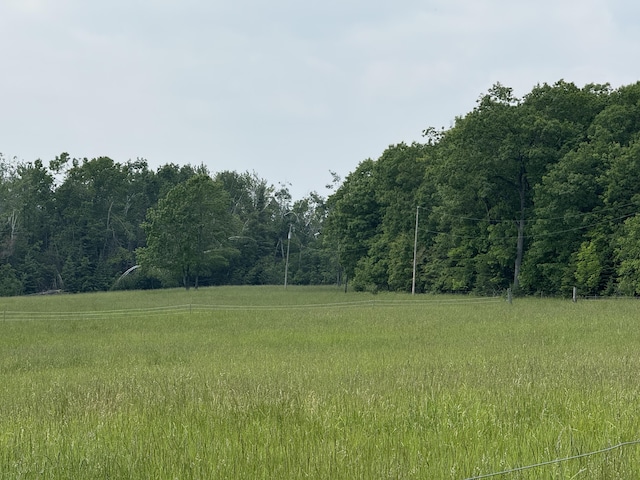 5913 M-33, Cheboygan, MI 49721 - view of tree filled area