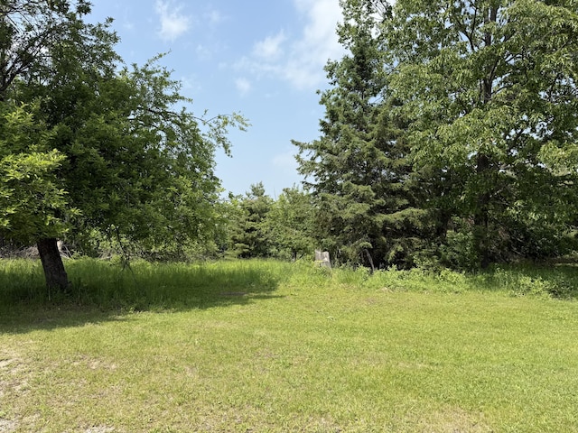 5913 M-33, Cheboygan, MI 49721 - view of undeveloped land