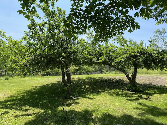 4435 M-68 Hwy, Rogers City, MI 49779 - photo 24