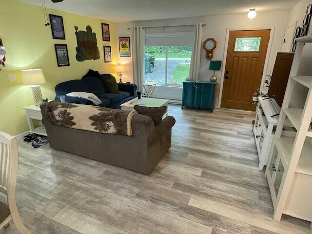 95 Caduca Ln, Roscommon, MI 48653 - living room with light wood finished floors
