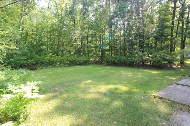 211 Daytona Rd, Roscommon, MI 48653 - view of green lawn
