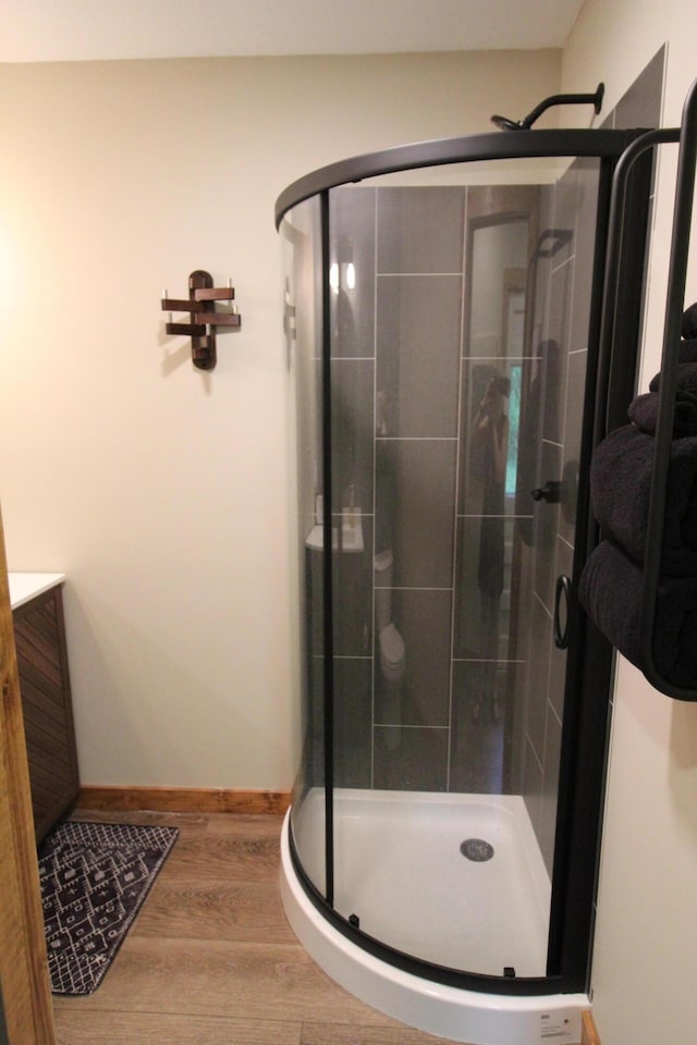 211 Daytona Rd, Roscommon, MI 48653 - bathroom with a shower stall, wood finished floors, and vanity
