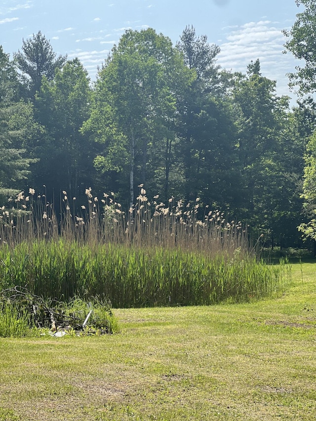 577 Wilderness Trl, Saint Helen, MI 48656 - view of green lawn