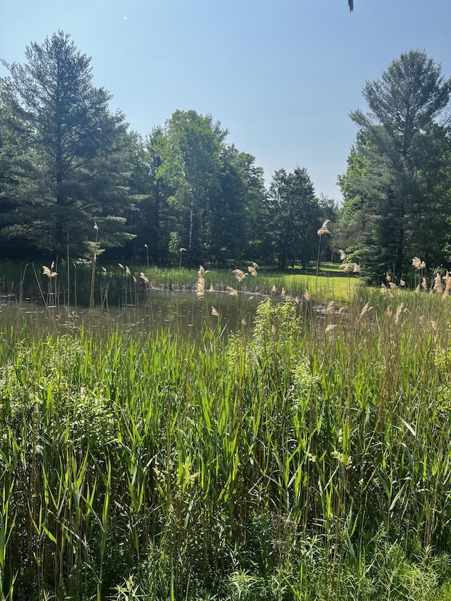 577 Wilderness Trl, Saint Helen, MI 48656 - view of nature
