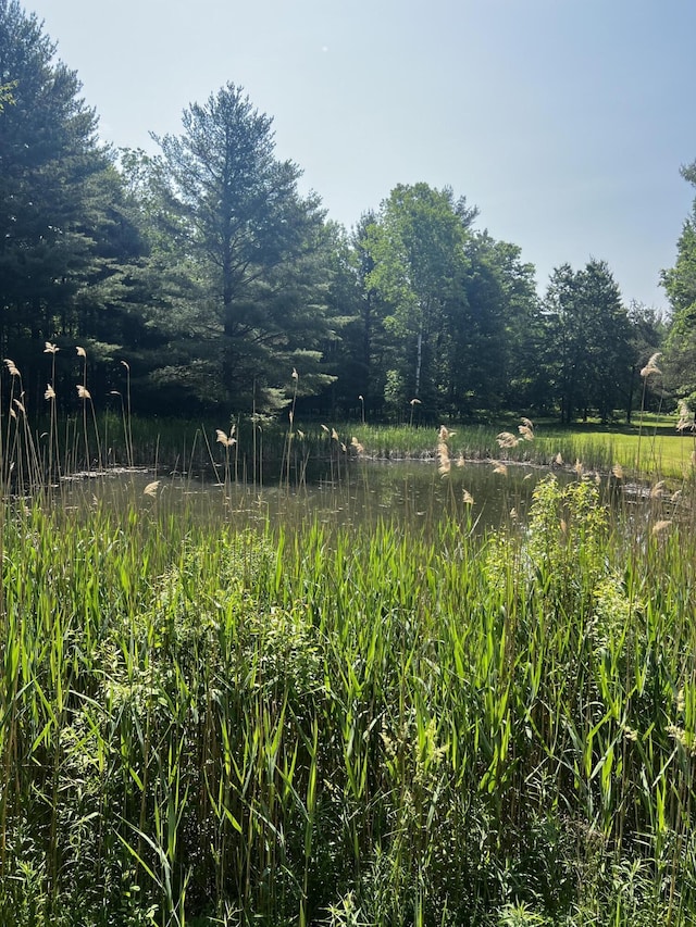 577 Wilderness Trl, Saint Helen, MI 48656 - view of local wilderness
