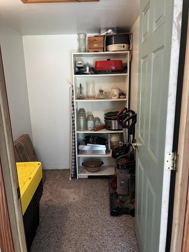 577 Wilderness Trl, Saint Helen, MI 48656 - view of storage