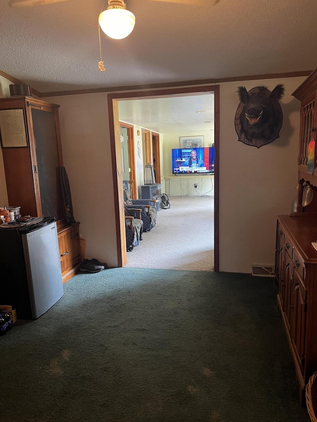 577 Wilderness Trl, Saint Helen, MI 48656 - corridor featuring carpet flooring and a textured ceiling