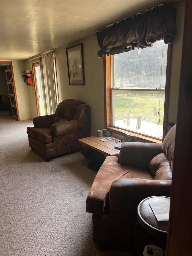 577 Wilderness Trl, Saint Helen, MI 48656 - living room with carpet