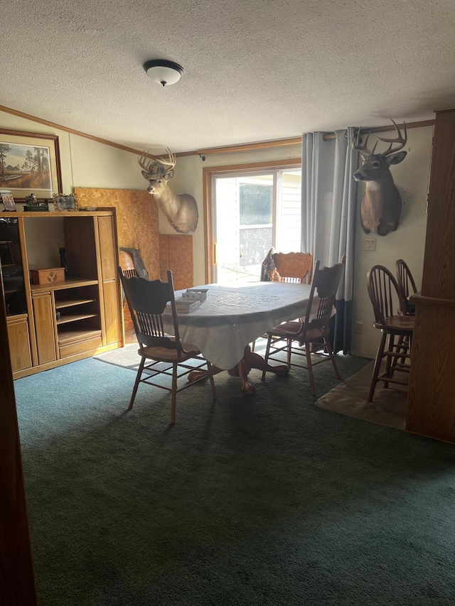 577 Wilderness Trl, Saint Helen, MI 48656 - carpeted dining room featuring a textured ceiling
