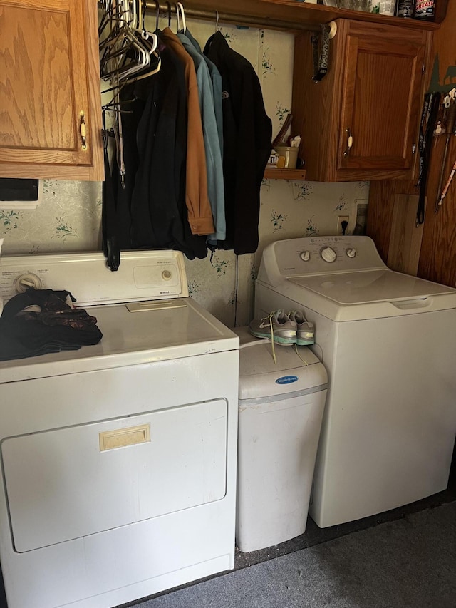 577 Wilderness Trl, Saint Helen, MI 48656 - laundry room featuring washing machine and dryer and cabinet space