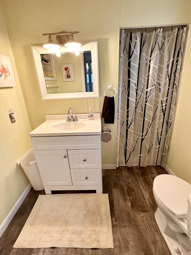 14781 Shubert Hwy, Posen, MI 49776 - bathroom featuring vanity, wood finished floors, and a shower with curtain