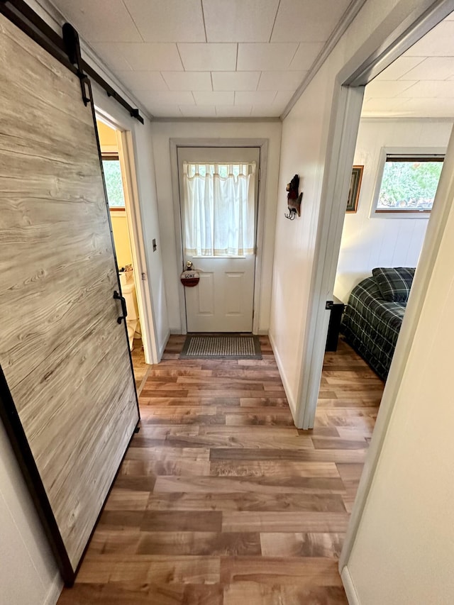 14781 Shubert Hwy, Posen, MI 49776 - entryway featuring a barn door, healthy amount of natural light, wood finished floors, and ornamental molding
