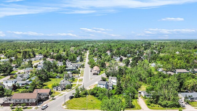 1014 Court St, Cheboygan, MI 49721 - aerial view of residential area with a heavily wooded area