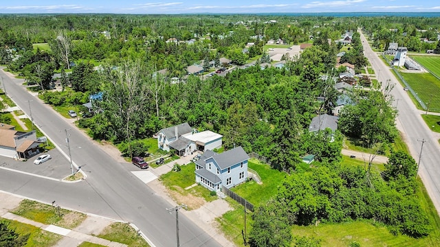 1014 Court St, Cheboygan, MI 49721 - aerial view of residential area featuring a heavily wooded area