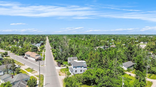 1014 Court St, Cheboygan, MI 49721 - aerial view of residential area with a heavily wooded area
