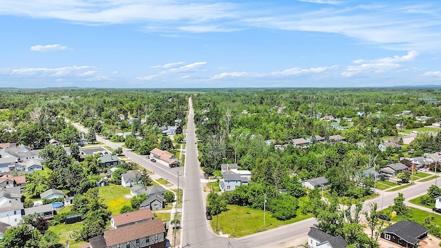 1014 Court St, Cheboygan, MI 49721 - aerial perspective of suburban area featuring a forest