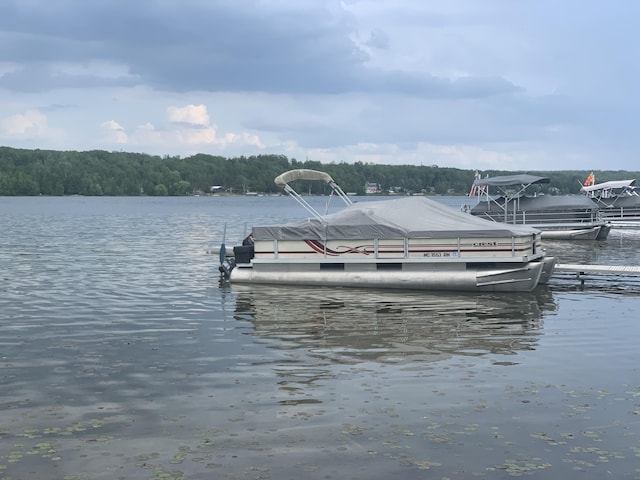 223 Beaver Shores Dr, Lachine, MI 49753