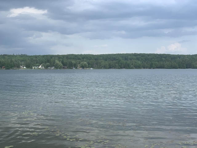 223 Beaver Shores Dr, Lachine, MI 49753