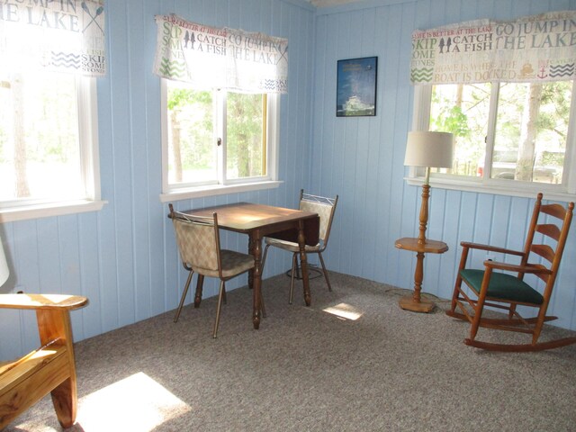 5199 Valleywood Rd, Lewiston, MI 49756 - photo 18