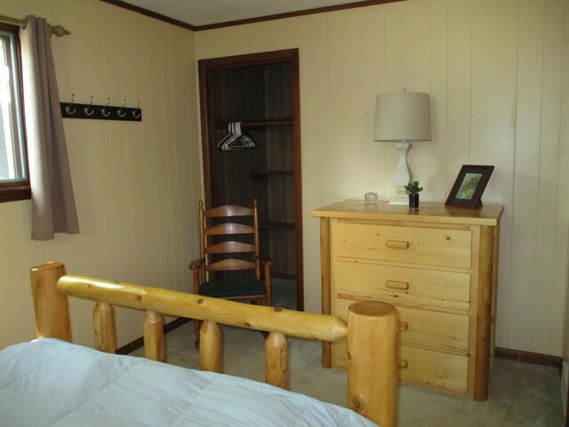 5199 Valleywood Rd, Lewiston, MI 49756 - photo 30