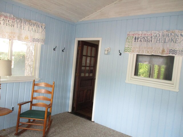5199 Valleywood Rd, Lewiston, MI 49756 - photo 19