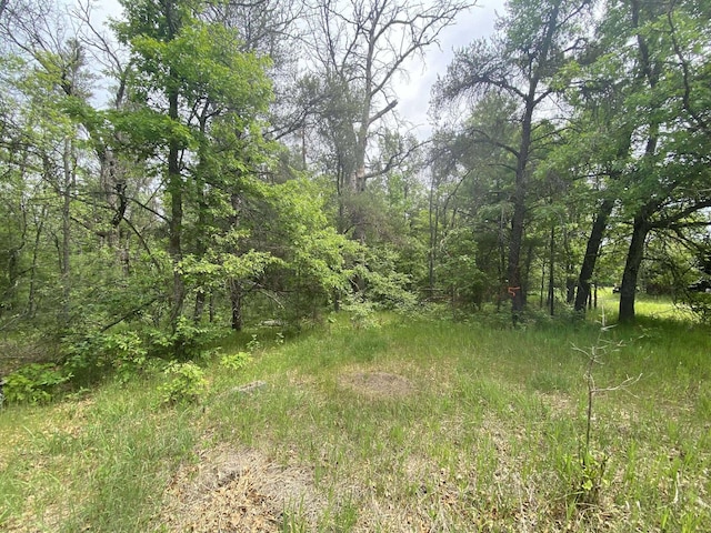 0 Stitt Ln, Mio, MI 48647