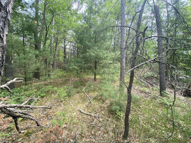 0 Stitt Ln, Mio, MI 48647