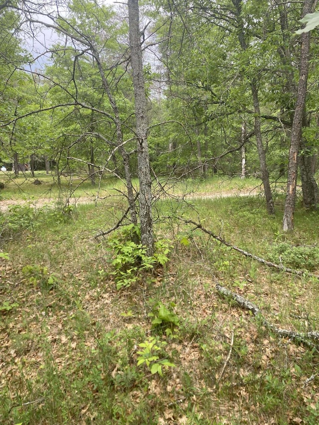 0 Stitt Ln, Mio, MI 48647