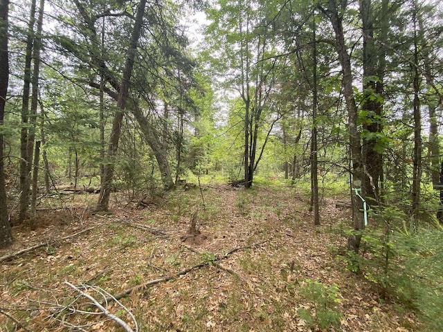 0 Stitt Ln, Mio, MI 48647