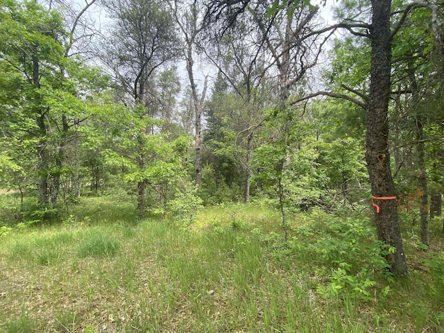 0 Stitt Ln, Mio, MI 48647