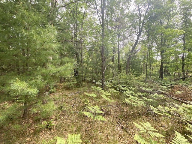 0 Stitt Ln, Mio, MI 48647