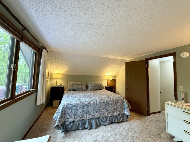 6303 Wolverine Trl, Gaylord, MI 49735 - photo 43