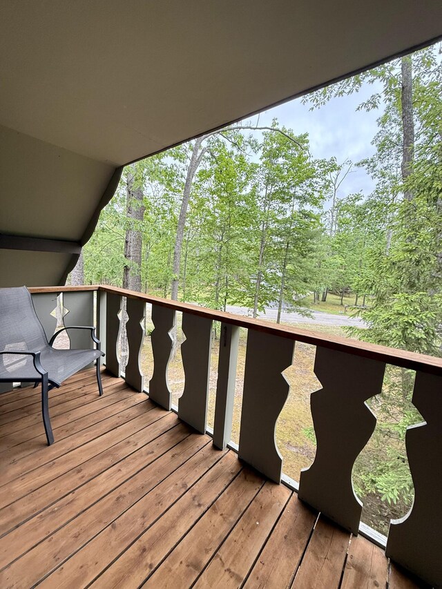 6303 Wolverine Trl, Gaylord, MI 49735 - photo 47