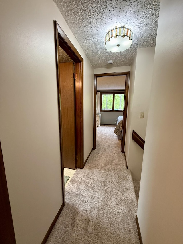 6303 Wolverine Trl, Gaylord, MI 49735 - photo 39