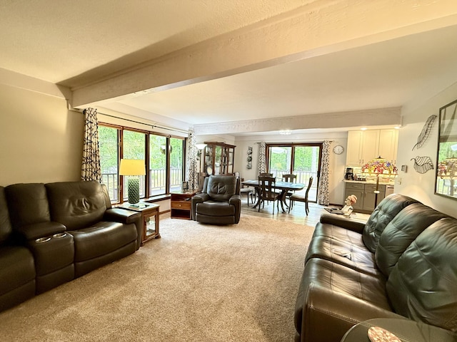 6303 Wolverine Trl, Gaylord, MI 49735 - photo 16
