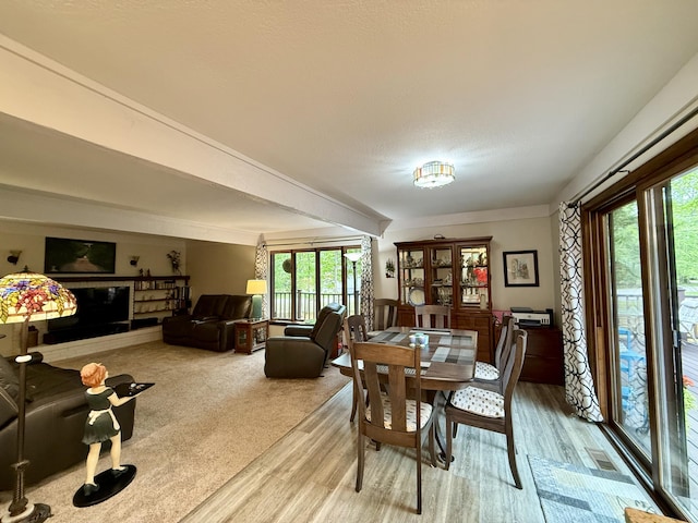6303 Wolverine Trl, Gaylord, MI 49735 - photo 13