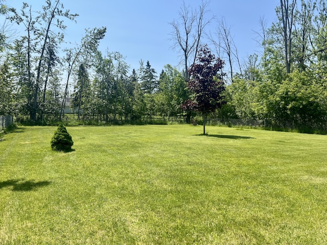 1604 Harrison Ave, Cheboygan, MI 49721 - view of yard