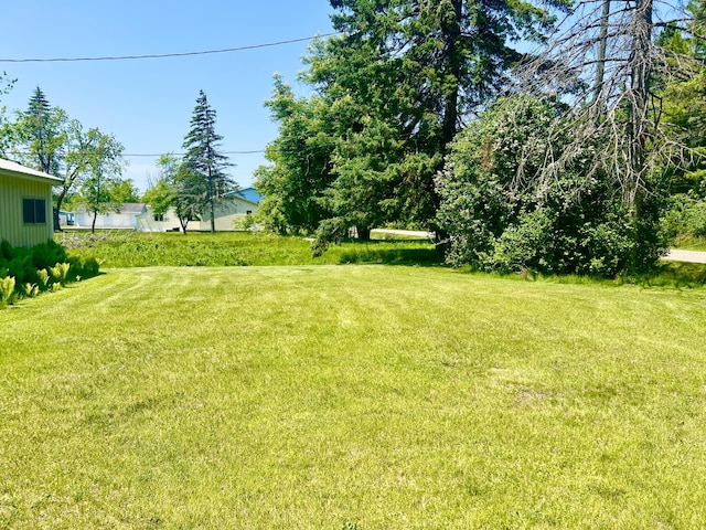 1604 Harrison Ave, Cheboygan, MI 49721 - view of green lawn