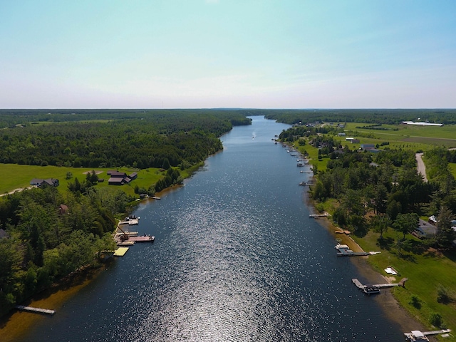 1817 Lindburgh Ln, Cheboygan, MI 49721 - bird's eye view of a large body of water