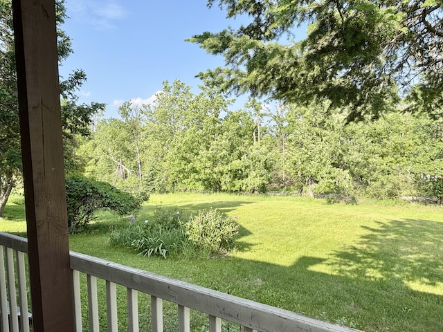 7770 Klein Rd, Hillman, MI 49746 - view of grassy yard