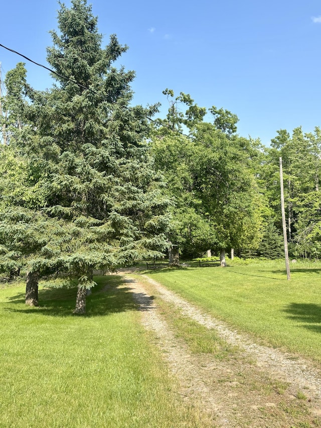 7770 Klein Rd, Hillman, MI 49746 - view of grassy yard featuring a forest view