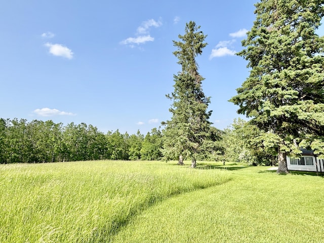 7770 Klein Rd, Hillman, MI 49746 - view of yard featuring a wooded view