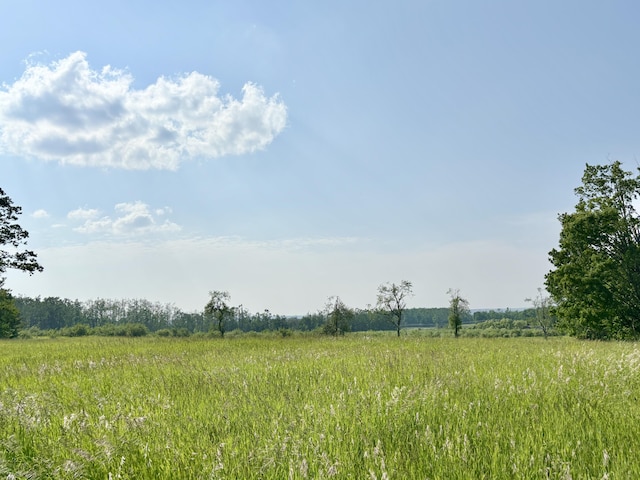 7770 Klein Rd, Hillman, MI 49746 - view of nature with rural landscape