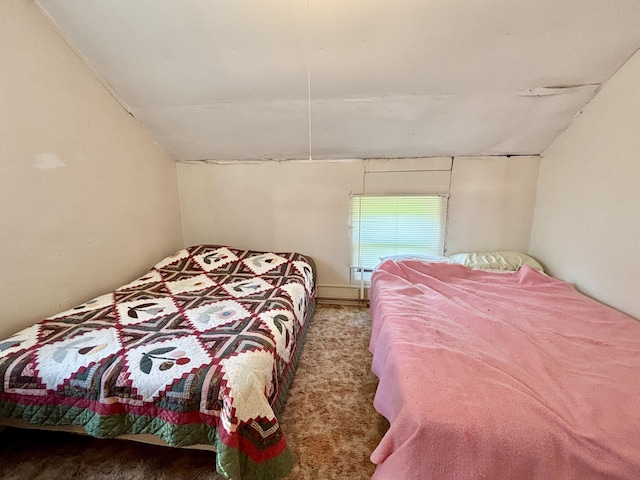 7770 Klein Rd, Hillman, MI 49746 - bedroom with vaulted ceiling