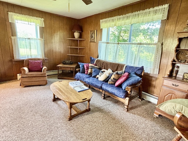 7770 Klein Rd, Hillman, MI 49746 - living area featuring wood walls, baseboard heating, carpet floors, and healthy amount of natural light